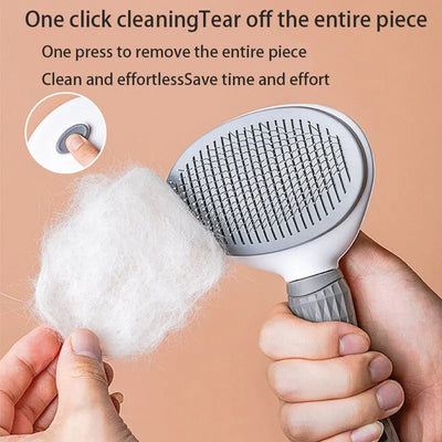 Pet Hair Remover Brush Alidrop