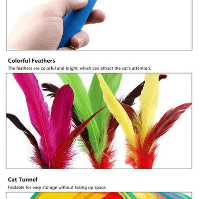 Fast Shipping 14-Piece Assorted Cat Toys Set Teal Zeus