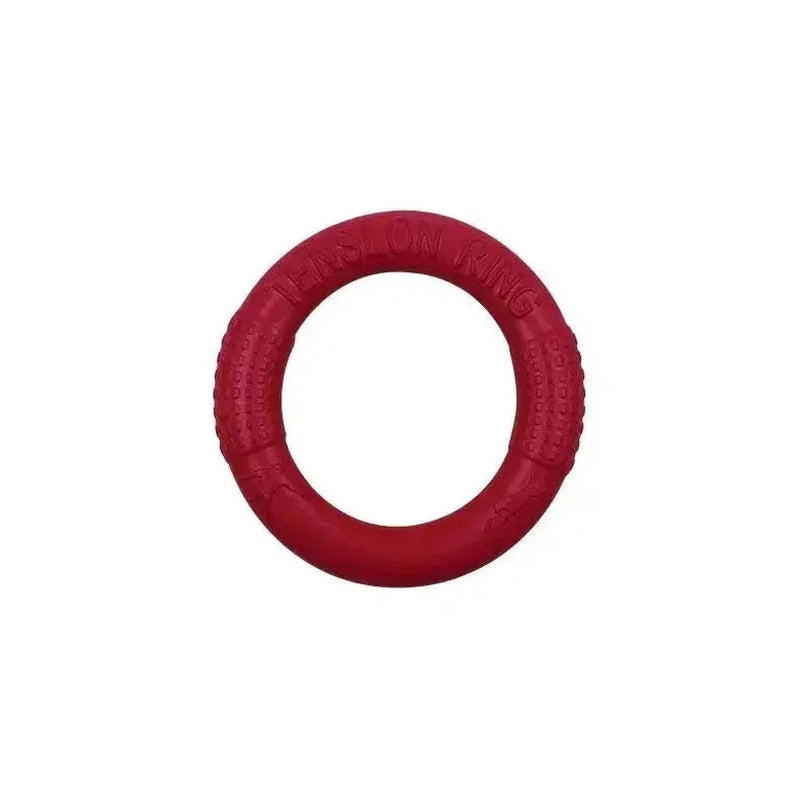 Durable Flying Disk Toy - Poochi Paws