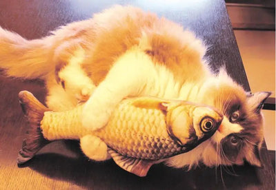 Plush Fish Cat Toy Alidrop