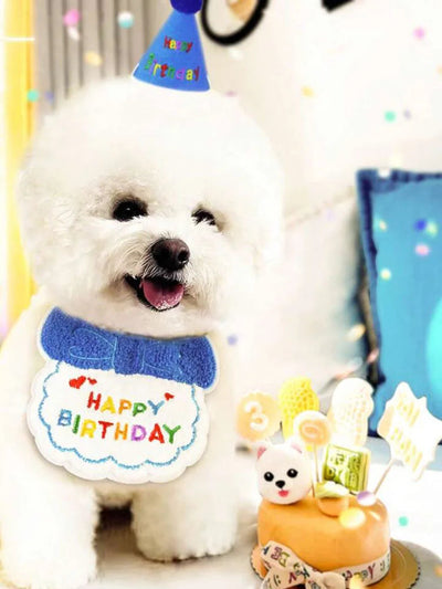 Pet Birthday Party Set Alidrop