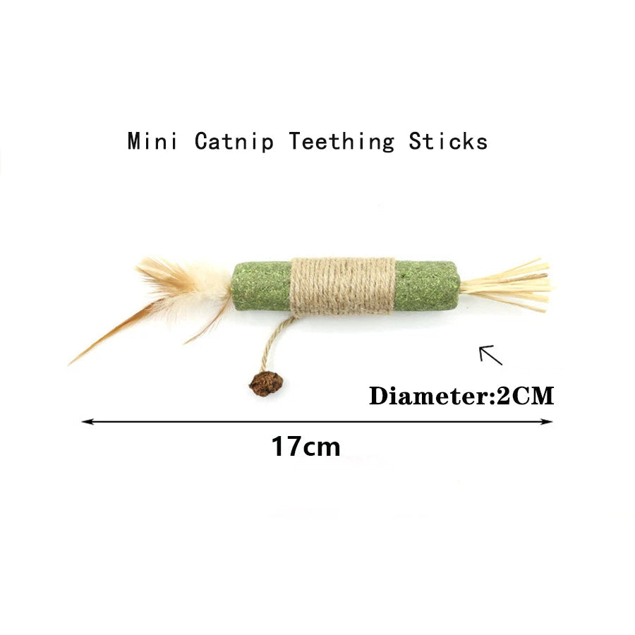 Interactive Catnip Squeak Ball Alidrop