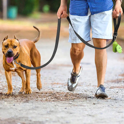 Reflective Pet Walking Leash Alidrop