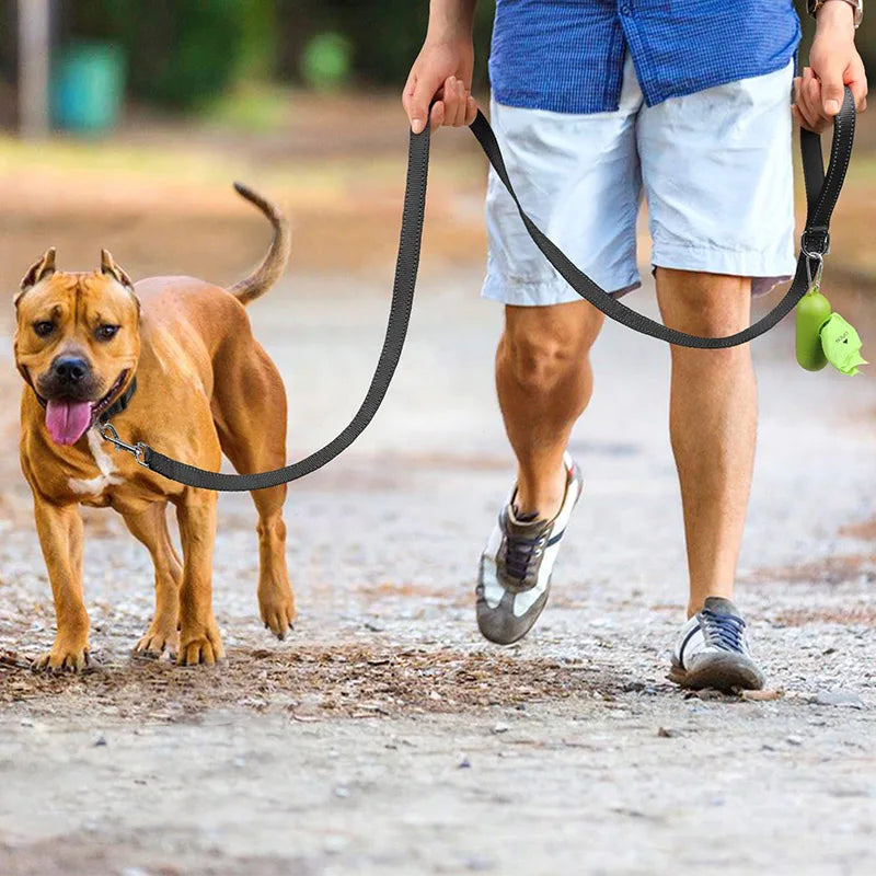 Reflective Pet Walking Leash Alidrop
