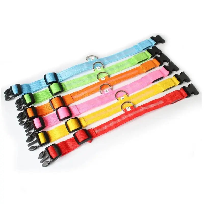 LED Anti-Lost Dog Collar - Poochi Paws