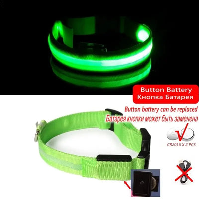 LED Anti-Lost Dog Collar - Poochi Paws