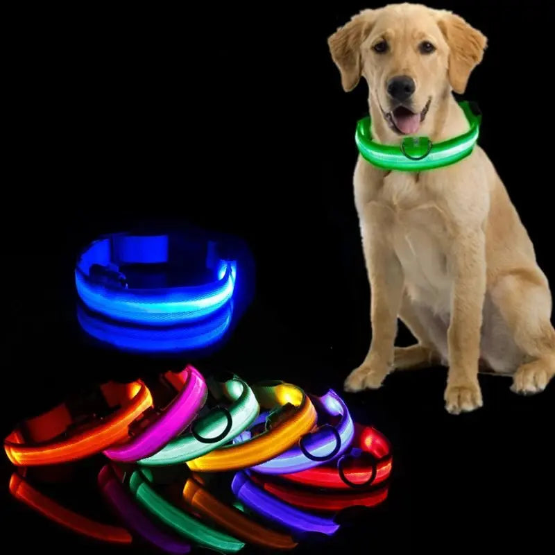 LED Anti-Lost Dog Collar - Poochi Paws