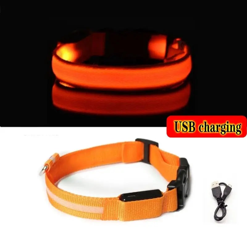 LED Anti-Lost Dog Collar - Poochi Paws