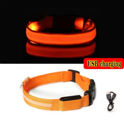 LED Anti-Lost Dog Collar - Poochi Paws
