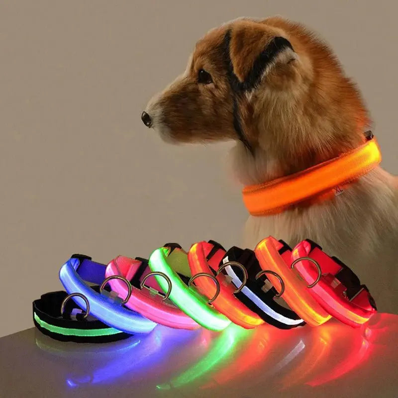 LED Anti-Lost Dog Collar - Poochi Paws