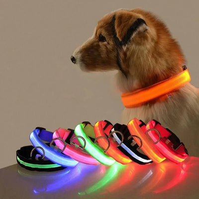 LED Anti-Lost Dog Collar - Poochi Paws