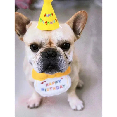 Pet Birthday Party Set - Poochi Paws