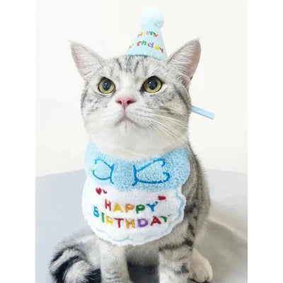 Pet Birthday Party Set - Poochi Paws