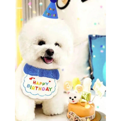 Pet Birthday Party Set - Poochi Paws