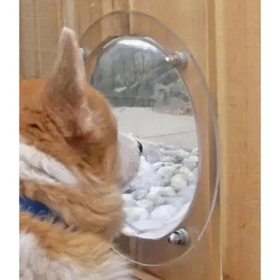 Pet Peek Fence Window - Poochi Paws