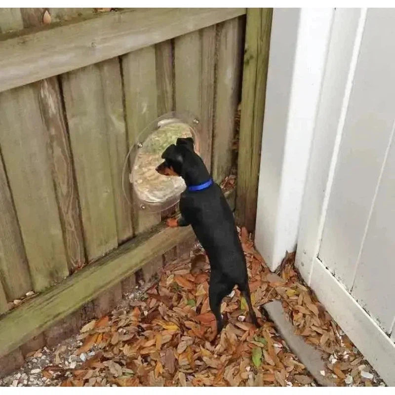 Pet Peek Fence Window - Poochi Paws