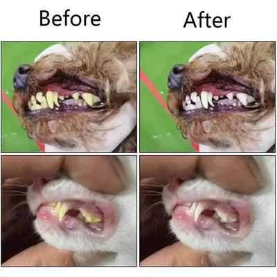 Silicone Pet Finger Toothbrush - Poochi Paws