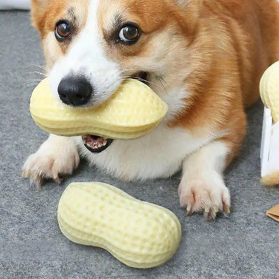 Squeaky Dog Chew Toy - Poochi Paws