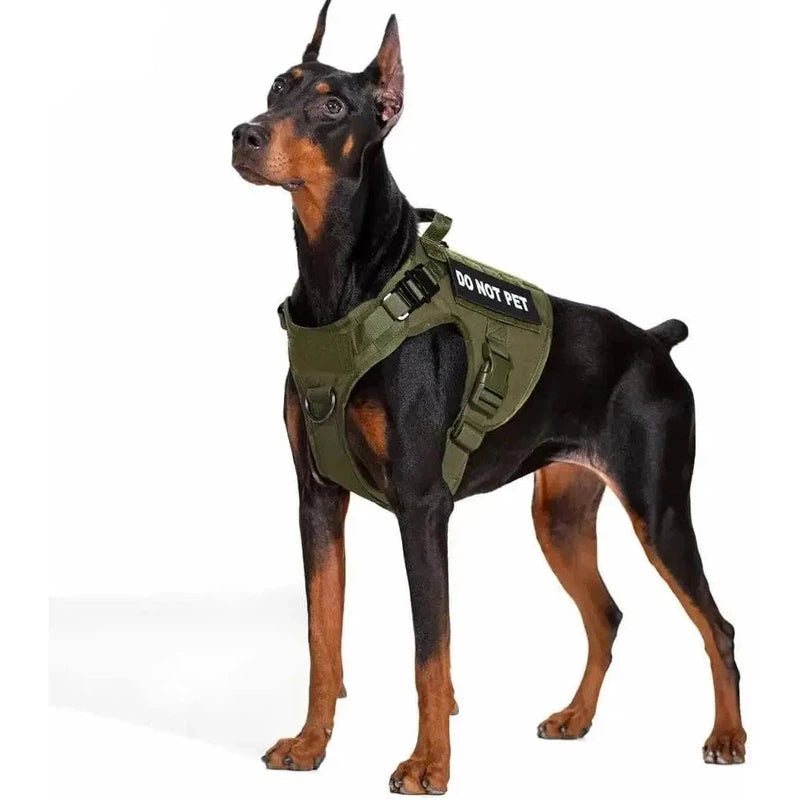Tactical Dog Training Harness - Poochi Paws