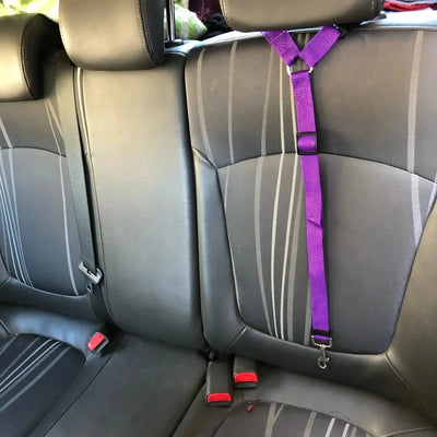 Two-in-One Pet Car Seatbelt - Poochi Paws
