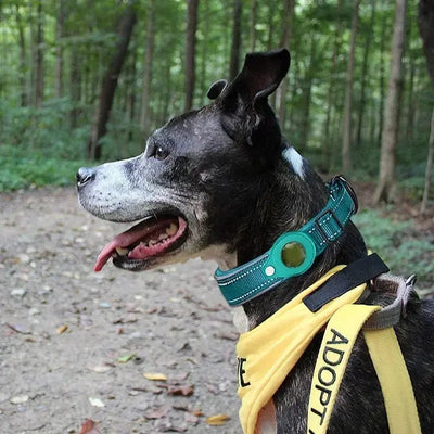 Waterproof Anti-Lost Dog Collar - Poochi Paws